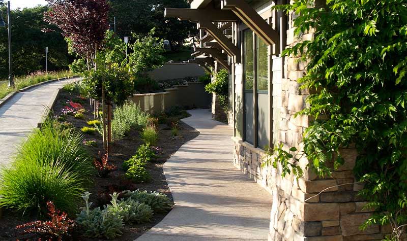 Large Commercial Installation - Fountain Grove Lodge, Santa Rosa
