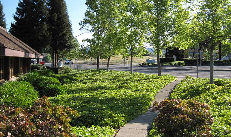 Medium Commercial Installation - Farmer's Lane Plaza, Santa Rosa